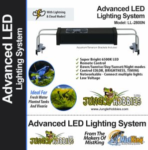 Single Advanced LED Lighting System