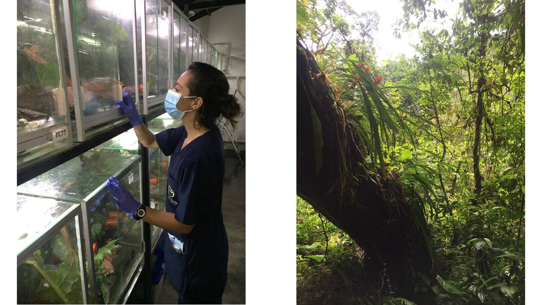 What is BioEcommerce?