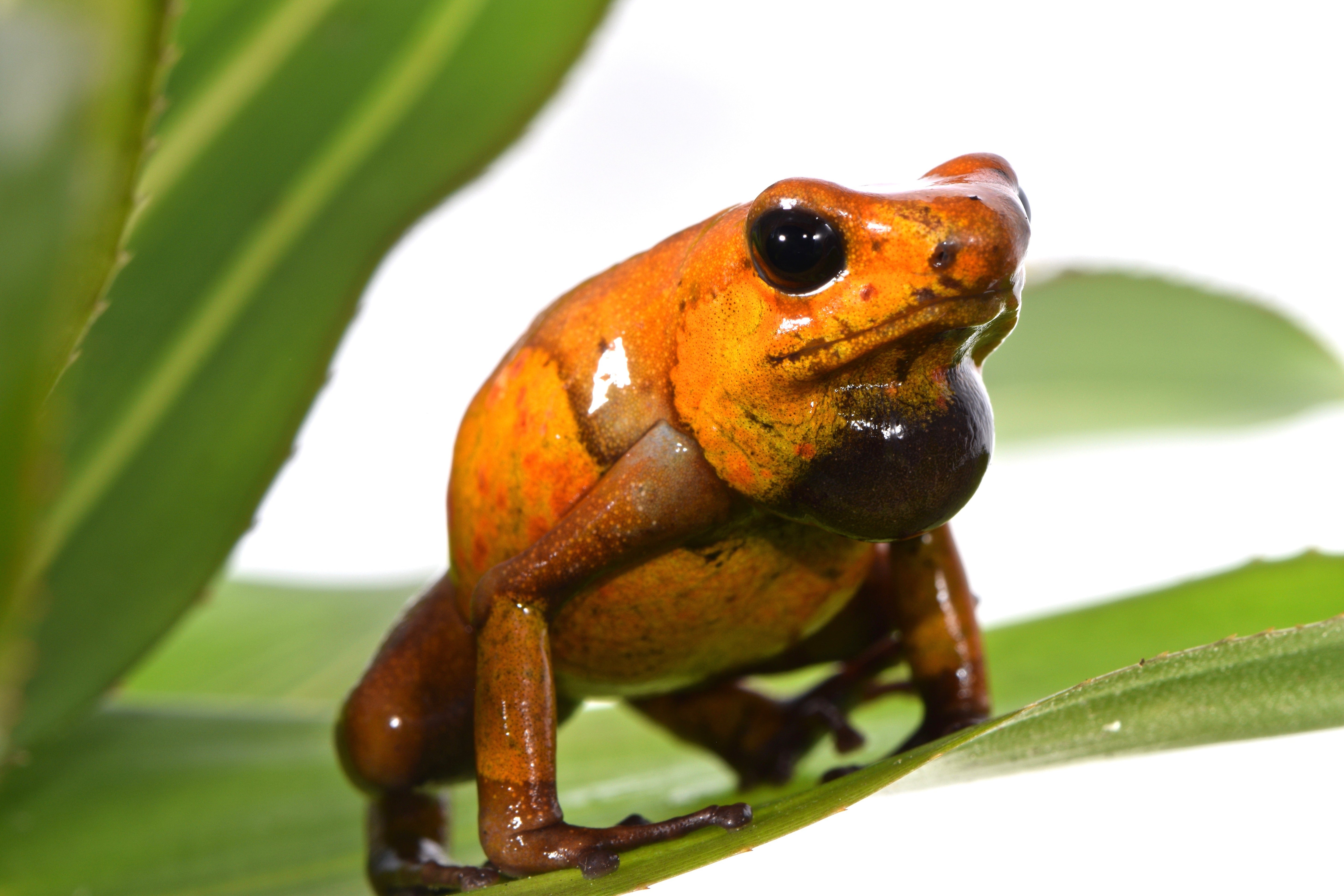 Upcoming Price Adjustment Due to New Tariffs