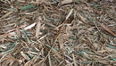 Tesoros Frogs Giant Bamboo Leaf Litter for Naturalistic Habitats