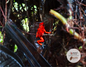 Tesoros Frogs and In Situ Herpetos limited Edition Oophaga Frog Framed Art Prints – Handcrafted in Colombia