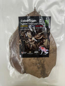 Tesoros Frogs Rubber Tree Leaf Litter for Naturalistic Habitats