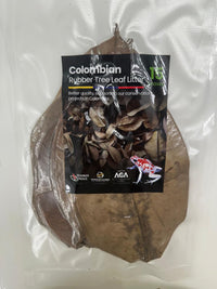 Tesoros Frogs Rubber Tree Leaf Litter for Naturalistic Habitats