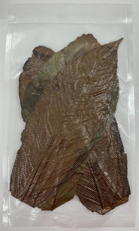 Tesoros Frogs Cacao Leaf Litter for Habitats