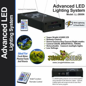Single Advanced LED Lighting System