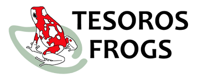 Tesoros Frogs